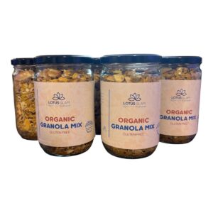 Organic Granola Mix