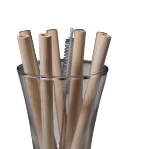 Bamboo Straw Package