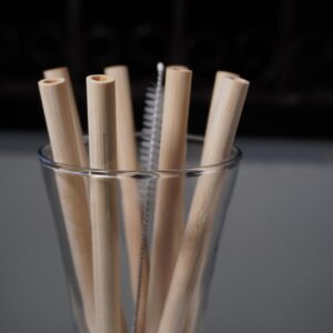 Bamboo Straw Package